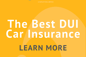 2 Best Car Insurance After a DUI: How to Find the Best